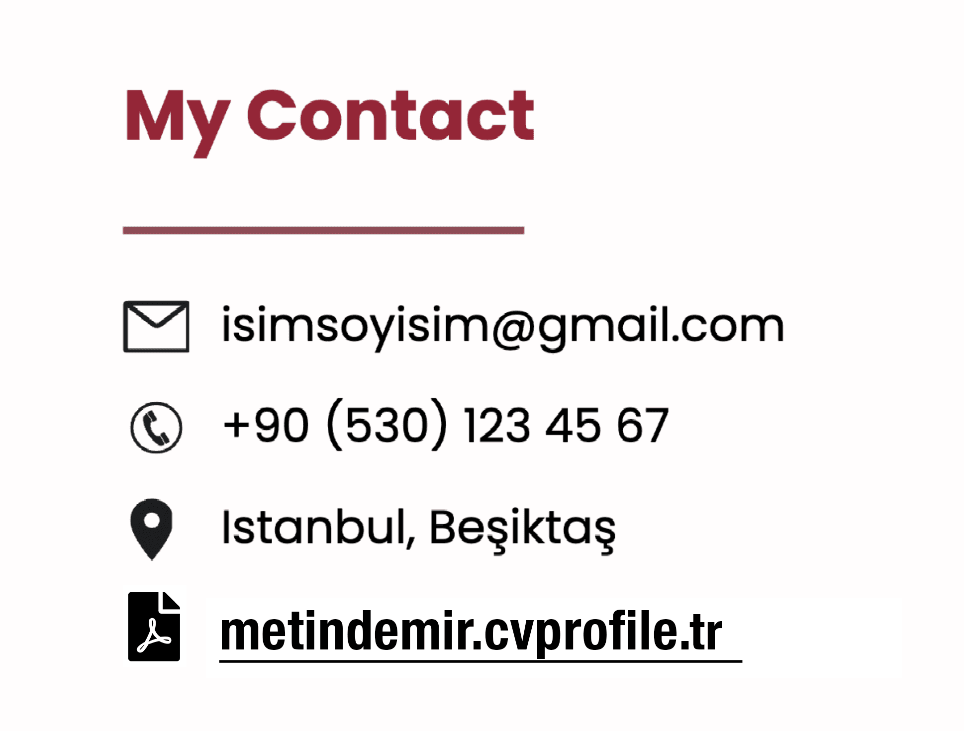 Interview context showing the CV link